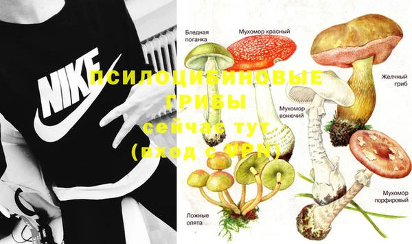 бошки Абдулино
