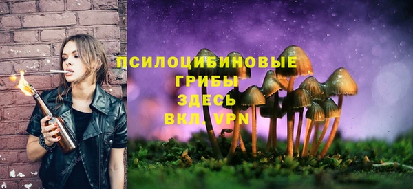 MDMA Алексеевка