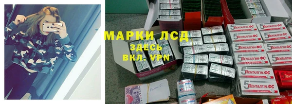 стафф Алзамай