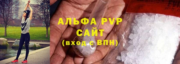 стафф Алзамай